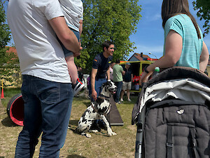 Bild Blaulichtmeile "10 Jahre GJF Vilseck"