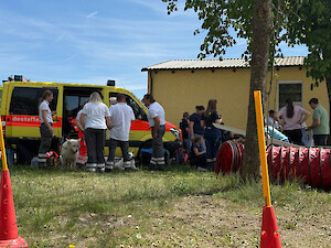 Bild Blaulichtmeile "10 Jahre GJF Vilseck"