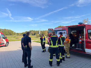 Bild Jugendfeuerwehren proben den Waldbrand-Einsatz