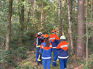 Bild Jugendfeuerwehren proben den Waldbrand-Einsatz